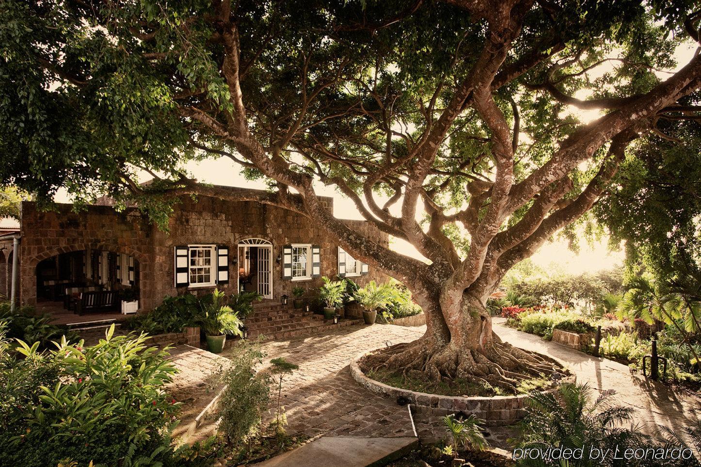 Montpelier Plantation & Beach Charlestown Exterior photo